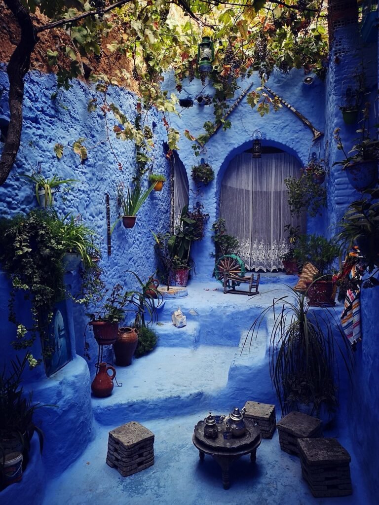 morocco, garden, blue, authentic, chefchaouen, architecture, chefchaouen, chefchaouen, chefchaouen, chefchaouen, chefchaouen