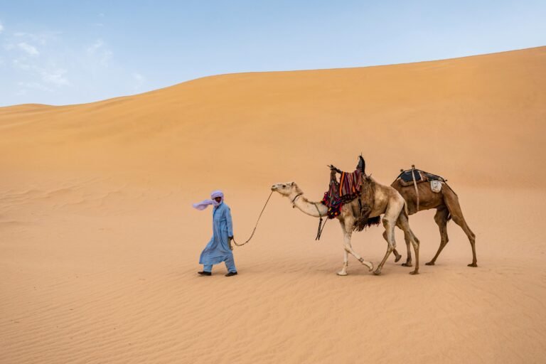 Tours de Varios Días por Marruecos High Atlas Mountains and Sahara Desert scenery on the 10-day complete Morocco tour