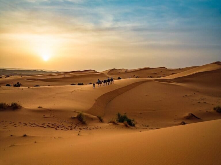 Merzouga Sahara Desert dunes in Morocco with camel trekking at sunset