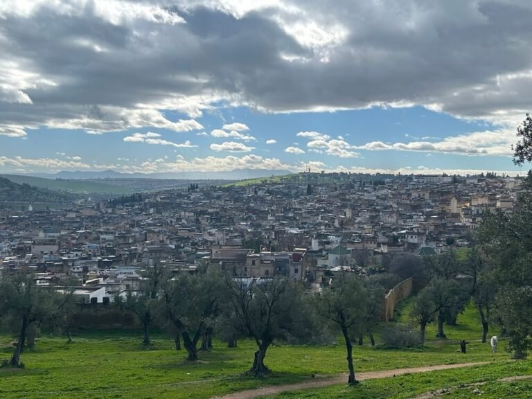 Fes city panoramic view with medina and surrounding hills Morocco
