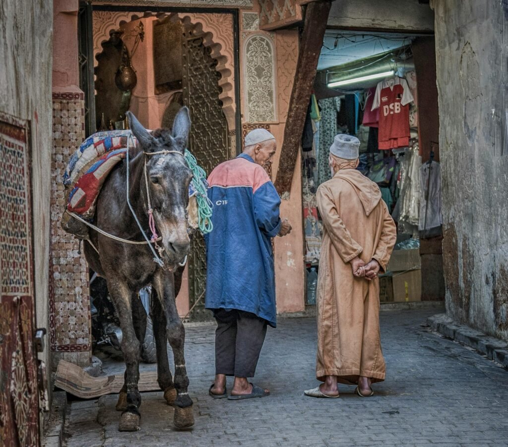 Elderly men converse beside a donkey in a vibrant Moroccan market alley.