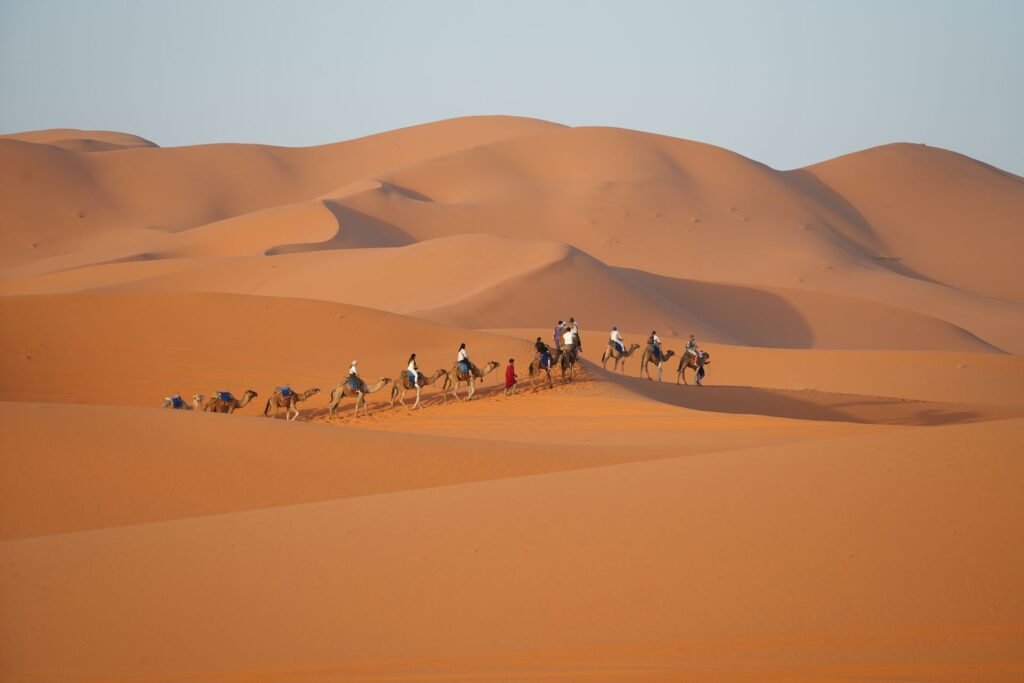Caravana de camellos cruzando las dunas del Sáhara al atardecer cerca de Merzouga