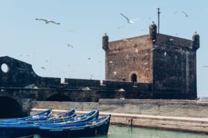 Essaouira citadel and harbor with seagulls, Morocco