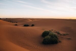 Golden dunes of the Sahara at sunset, Morocco