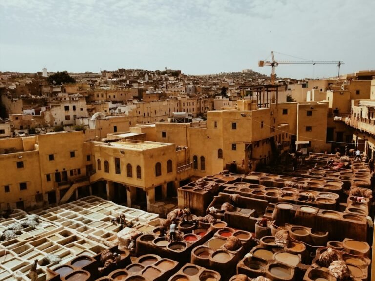 The colorful Chouara Tannery dye pits in the Fes medina, Morocco
