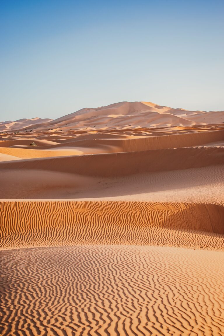 Sahara desert sand dunes in Morocco