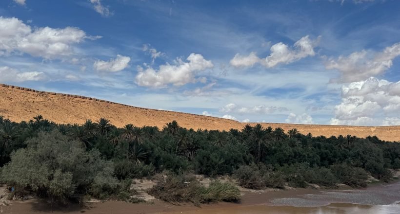 Lush oasis amid the Moroccan desert landscape