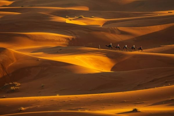 Sahara Desert dunes at the sunset in morocco