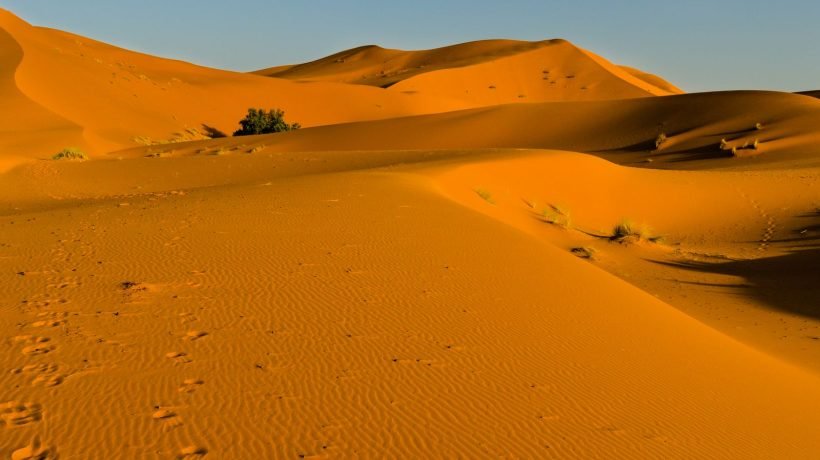 Golden Sahara dunes on the Casablanca to Desert and Essaouira tour