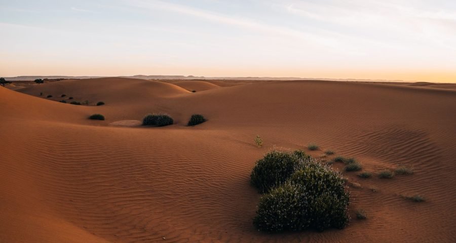 Golden dunes of the Sahara at sunset, Morocco
